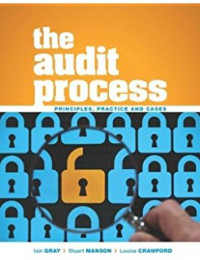 The Audit Process: Principles, Practice, and Cases