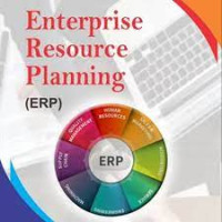 Enterprise Resource Planning ( ERP )