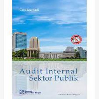 Audit internal sektor publik