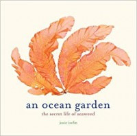 An ocean garden: The Secret Life Of Seaweed