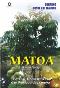 Matoa (Pometia sp): potensim domestifikasi, dan pembudidayaannya